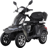 Volta Motor Elektromobil VISTA 25 km/h – 4-rädriges Seniorenmobil mit COC-Zulassung Schwarz
