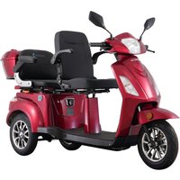Econ-Way E-Seniorenmobil T409-1, 3-Rad, 1000 Watt, 2 Sitzer