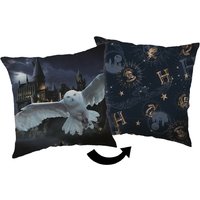 COFI 1453 Harry Potter Dekokissen – Premium Kopfkissen mit Digitaldruck