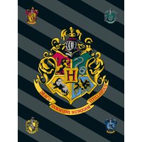 COFI 1453 Harry Potter Kuscheldecke aus Fleece 100x150 cm
