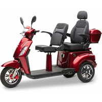 Econelo E-Seniorenmobil Billy 2.0, Lithium-Akku, 3-Rad, 1000 Watt, Komfort-Sitz, Grau