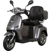 Aktiv Mobil E-Seniorenmobil Aktiv Mobil E-Rider 1000 mit Top Case grau - 25 km/h