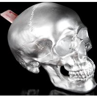Designer Spardose Skull silber Höhe 14 cm, Breite 14 cm, Tiefe 20 cm, Totenkopf - edle Skulptur aus Polyresin