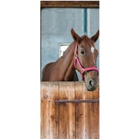 Tür 2.0 XXL Wallpaper für Türen 20021 Fury - selbstklebend- Blickfang für Ihr zu Hause - Tür Aufkleber Tapete Fototapete FotoTür 2.0 XXL Vintage Antik Stil Retro Wallpaper Fototapete