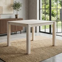 FineBuy Aktion 38% Rabatt auf quadratischen Esstisch aus MangoHolz