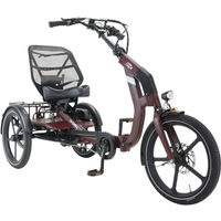 Caboocargo Caboocargo Dreirad E-Bike Chill, bordeaux-rot