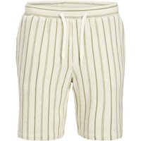 Jack & Jones Herren Short JPSTJAIDEN COBA STRIPE JOG SHORT- Regular Fit Jack & Jones Herren Short JPSTJAIDEN COBA STRIPE JOG SHORT- Regular Fit