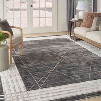 Desire DSR01 Charcoal Silver Luxury Silky Rug