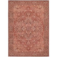 Ziba Terracotta Traditional Wool Rug