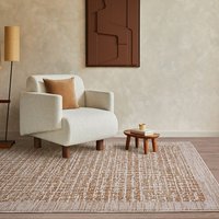 Anders AN11 Abstract Natural Rug