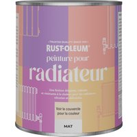Rust-Oleum Peinture pour radiateurs mate - Graphite