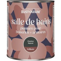 Rust-Oleum Peinture pour boiseries et armoires de salle de bains brillante - Charbon Naturel