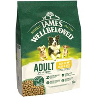 James Wellbeloved Dry Dog Adult Lamb & Rice 15kg