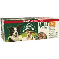 James Wellbeloved Adult Wet Dog Food Turkey & Rice Mega Pack Pouch 48x90g