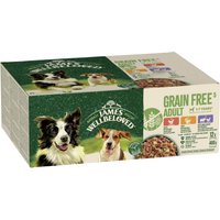 James Wellbeloved GF Adult Wet Dog Food Turkey Lamb & Chicken Loaf 12 x 400g