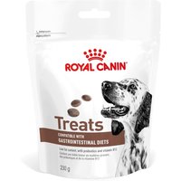 Royal Canin Gastrointestinal Treats 220g