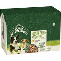 Chemist Direct Enjoy 27% Discount on James Wellbeloved Grain Free Turkey Gravy Dog Food