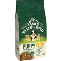 James Wellbeloved Dry Dog Puppy Lamb & Rice 2kg