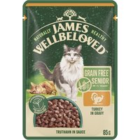 James Wellbeloved Grain Free Senior Cat Wet Food Pouch Turkey in Gravy 12x85g