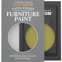 Rust-Oleum Green Satin Furniture Paint - Pickled Olive 10ml