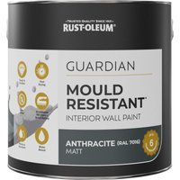Guardian Mould Resistant Interior Wall Paint - Anthracite (Ral 7016) 2.5L