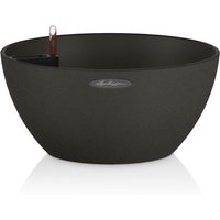 Cubeto Stone Bowl Planter