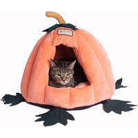 Cat Bed C85CCS PumpkIn Shape