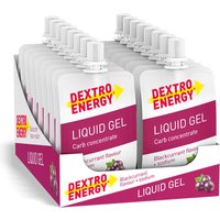Liquid Gel - 18x60ml - Blackcurrant + Natrium — Bild 1