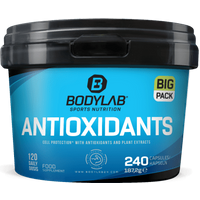 BIG Pack Antioxidants (240 Kapseln) — Bild 1