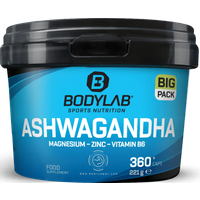 BIG PACK Ashwagandha + Magnesium - Zinc - Vitamin B6 (360 Kapseln) — Bild 1