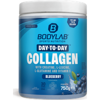 Day to Day Collagen - 750g - Blueberry — Bild 1