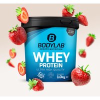 Whey Protein - 1000g - Erdbeer — Bild 1