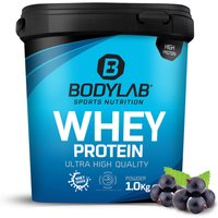 Whey Protein - 1000g - Blaubeere — Bild 1