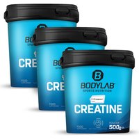 Creatine (Creapure®) (500g) — Bild 1