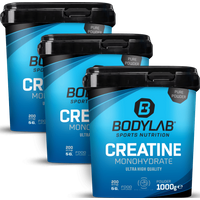 Creatine Monohydrate - 100% Pure Powder (1000g) — Bild 1