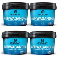 Ashwagandha + Magnesium - Zinc - Vitamin B6 (120 Kapseln) — Bild 1