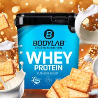 Whey Protein - 1000g - Butterkeks — Bild 1