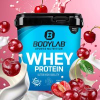 Whey Protein - 1000g - Kirsch-Joghurt — Bild 1