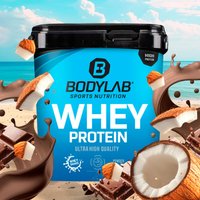 Whey Protein - 2000g - Schokolade-Kokosnuss — Bild 1