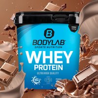 Whey Protein - 2000g - Milchschokolade — Bild 1