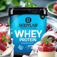 Whey Protein - 1000g - Pannacotta — Bild 1