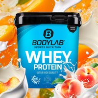 Whey Protein - 1000g - Yoghurt Peach — Bild 1