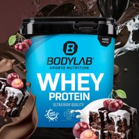 Whey Protein - 1000g - Schwarzwälder Kirsch — Bild 1