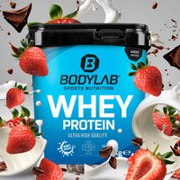 Whey Protein - 1000g - Strawberry Chocolate Yoghurt — Bild 1
