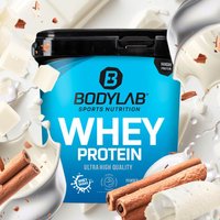Whey Protein - 1000g - White Chocolate Cinnamon Cereal — Bild 1