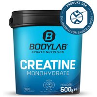 Creatine Powder (500g)