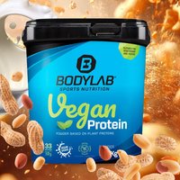 Vegan Protein - 1000g - Peanut — Bild 1