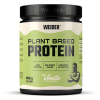 Bodylab24 Plant Based Protein 450g Vanilla