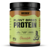 Bodylab24 Plant Based Protein 450g Chocolate