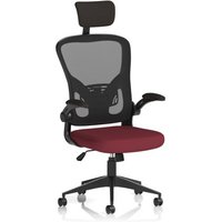 Click to view product details and reviews for Ace Executive Mesh Chair With Folding Arms Bespoke Colour Seat Ginseng Chilli. Click to view product details and reviews for Ace Executive Mesh Chair With Folding Arms Bespoke Colour Seat Ginseng Chilli.